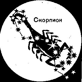 Зодиакальное созвездие Скорпион