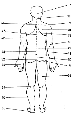 Части тела - Медицинский раздел МСС
